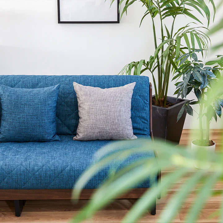 BR × ブルーのコーディネート