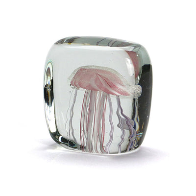 ジェリーフィッシュ ツイストレッグ "スクエア/ピンク"