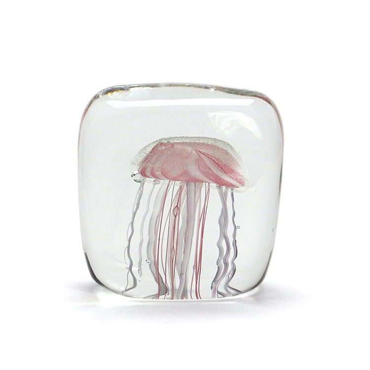 ジェリーフィッシュ ツイストレッグ "スクエア/ピンク"