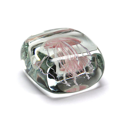 ジェリーフィッシュ ツイストレッグ "スクエア/ピンク"