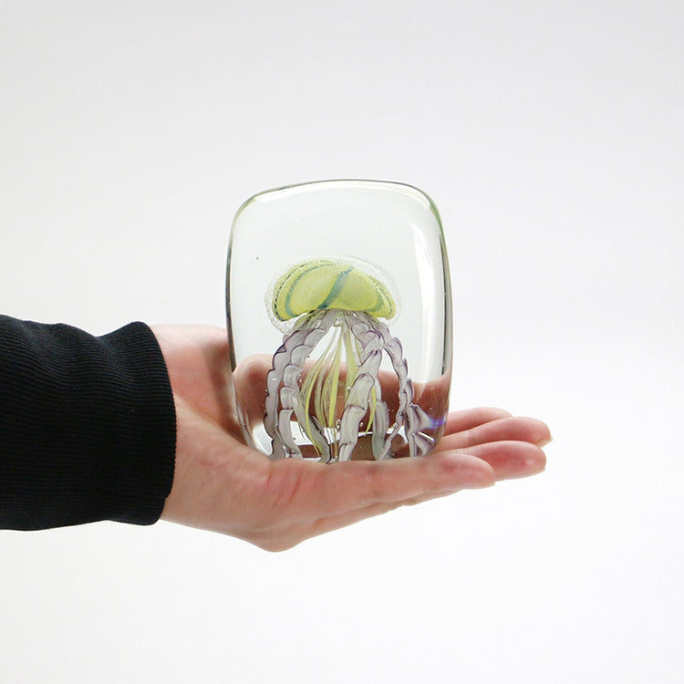 手のひらサイズです