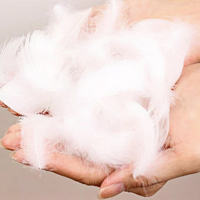 座面にはフェザーを使用してます