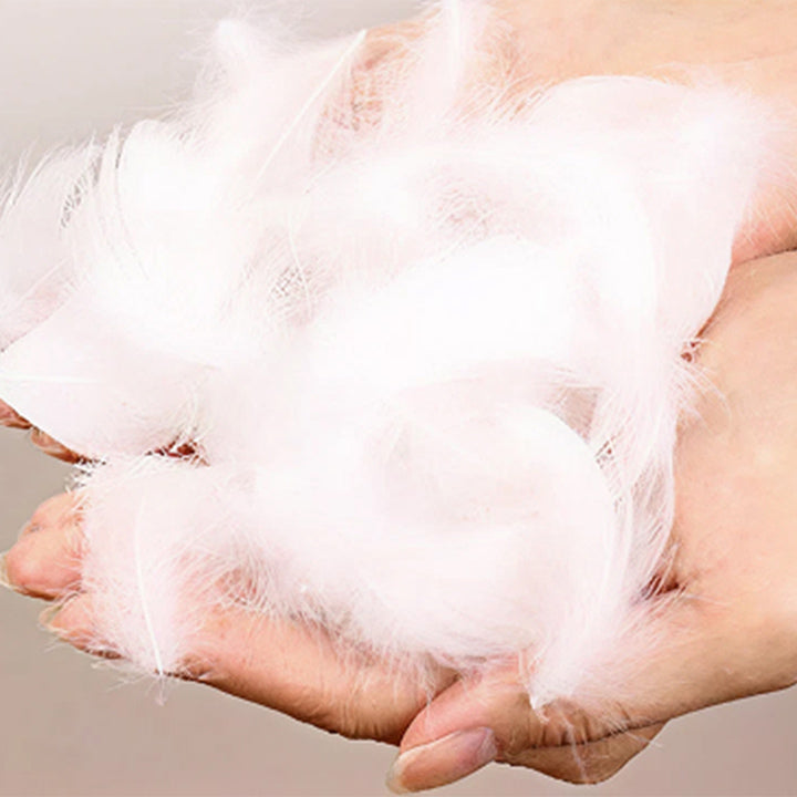 座面にはフェザーを使用してます