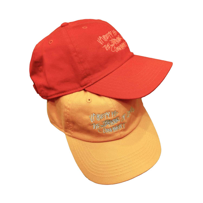 SALT&PEPPER CAP 帽子