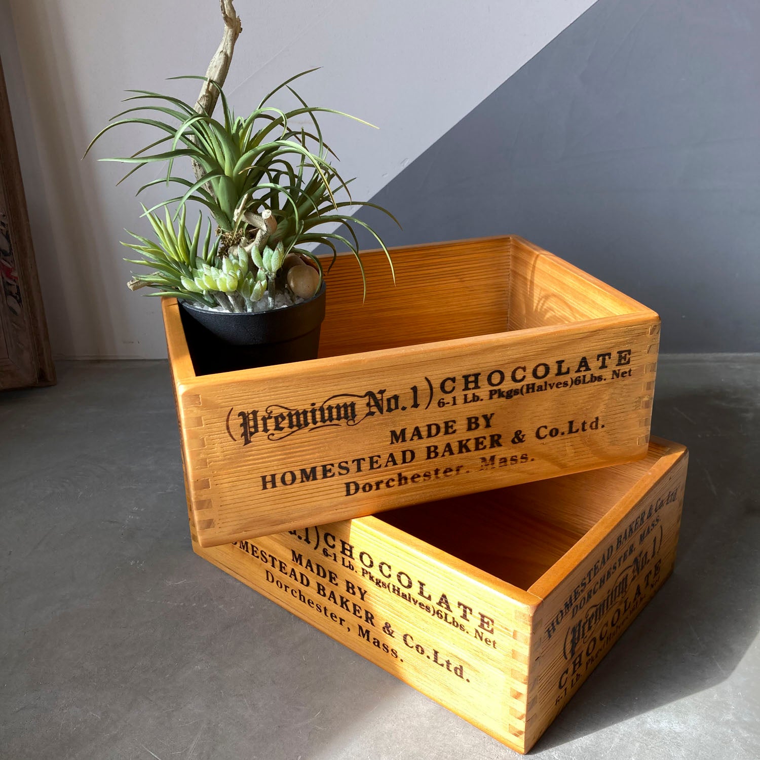 アクシス 木箱 ボックス – ウンコちゃんの家具屋さん